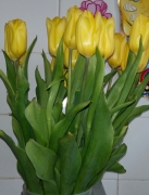 10.03